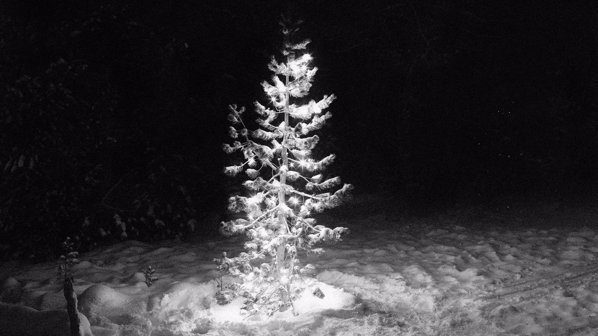 The Only Thing More Dangerous Than Authoritarianism The Only Thing More Dangerous Than Authoritarianism