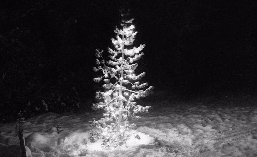 The Only Thing More Dangerous Than Authoritarianism The Only Thing More Dangerous Than Authoritarianism